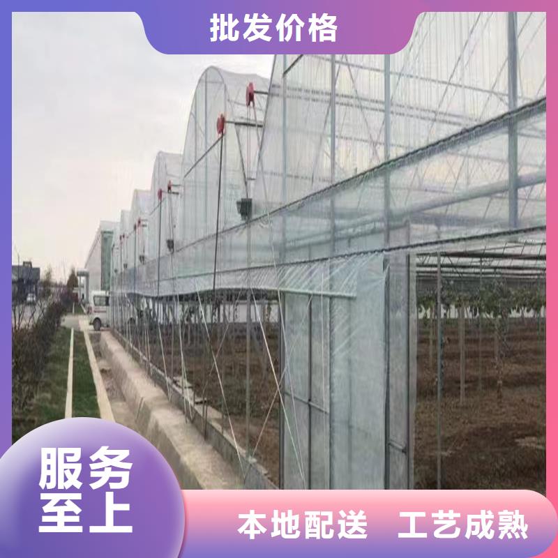 镇康县葡萄草莓蓝莓避雨大棚欢迎电询