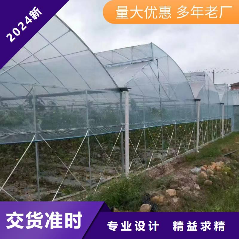 渝水区葡萄避雨大棚管现货齐全