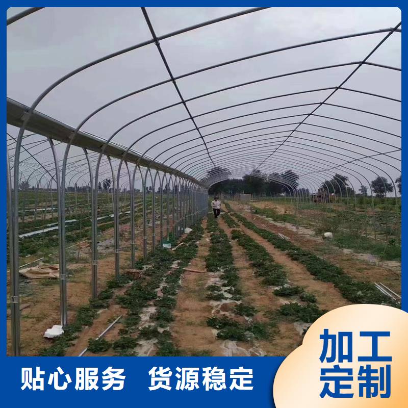 渝水区葡萄避雨大棚管现货齐全