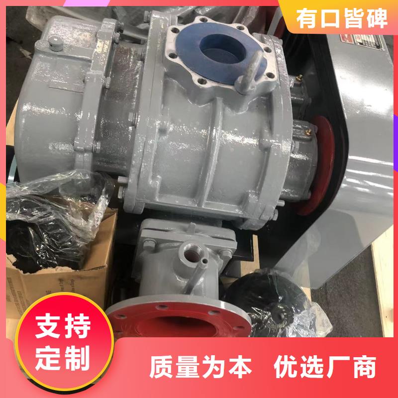 每日三叶罗茨鼓风机LFSR250
