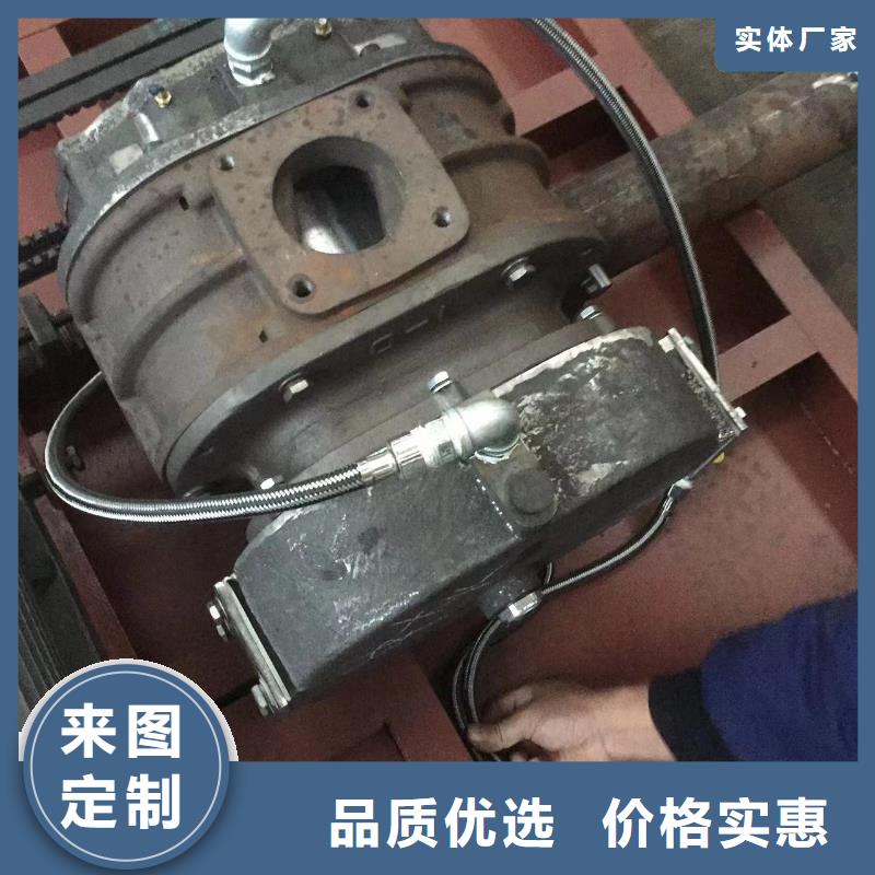 每日三叶罗茨鼓风机LFSR250