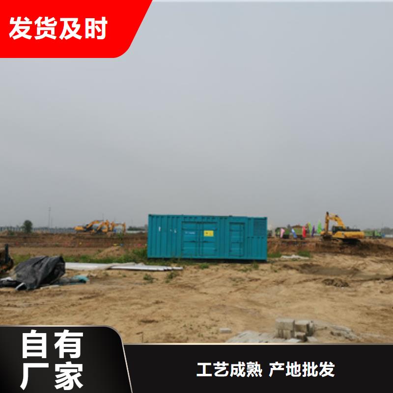 进口柴油发电机租赁灵活方便