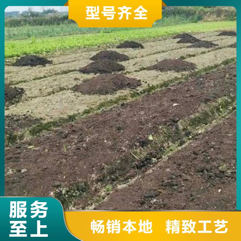 鸡粪晒干鸡粪厂家货源