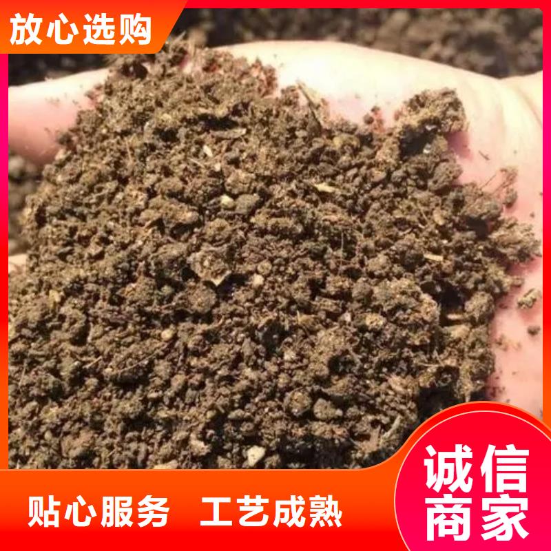 鸡粪有机肥使庄稼籽粒饱满