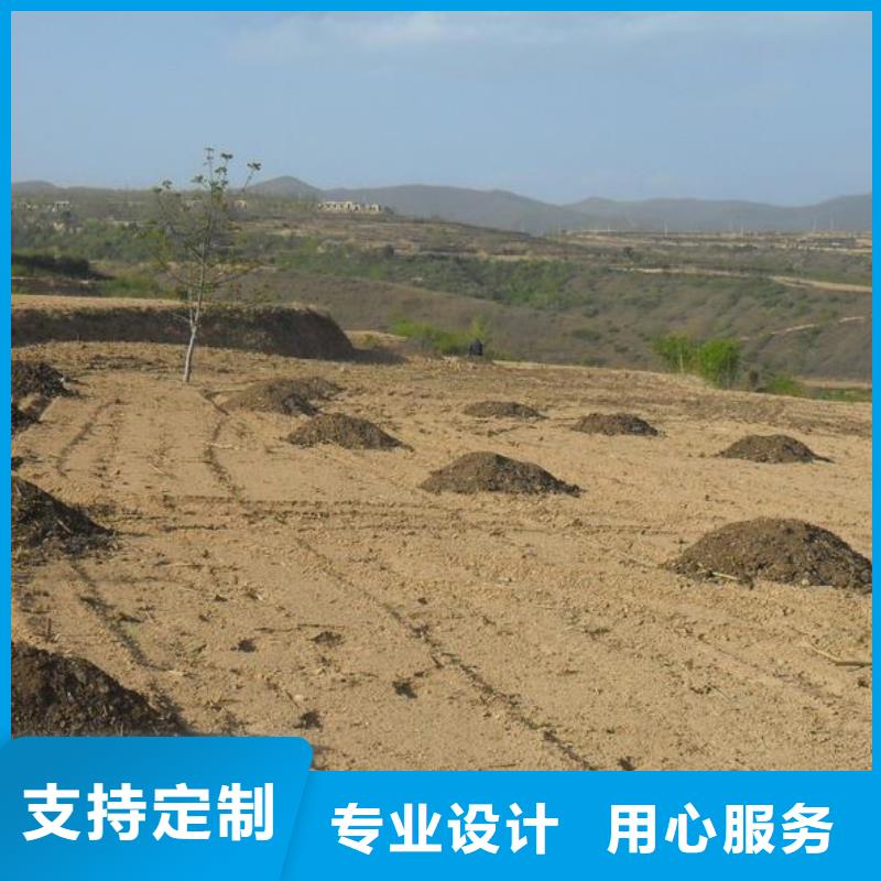发酵鸡粪技术员的