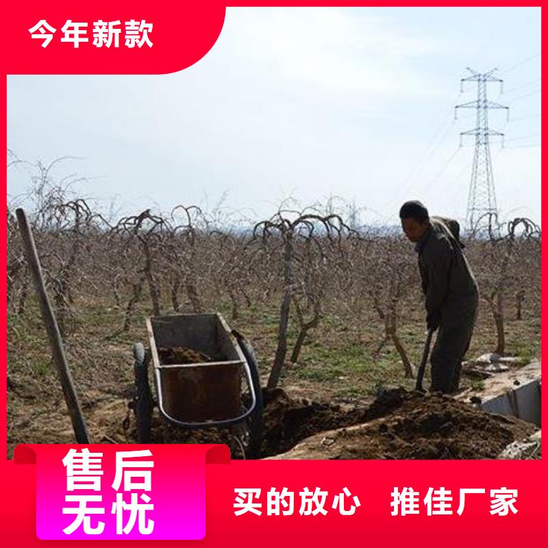 稻壳鸡粪大品牌