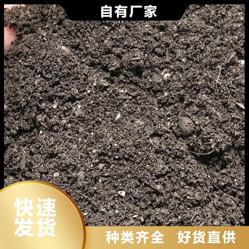 鸡粪有机肥使庄稼籽粒饱满