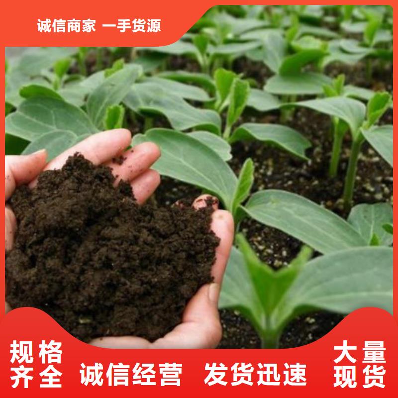 鸡粪晒干鸡粪厂家货源