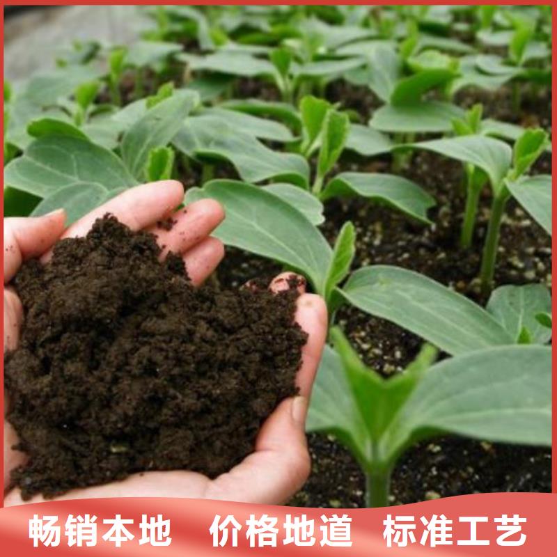 羊粪有机肥听朋友说不赖