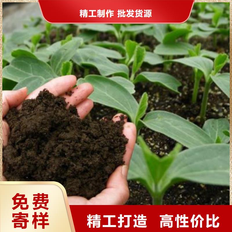 鸡粪晾晒场在哪