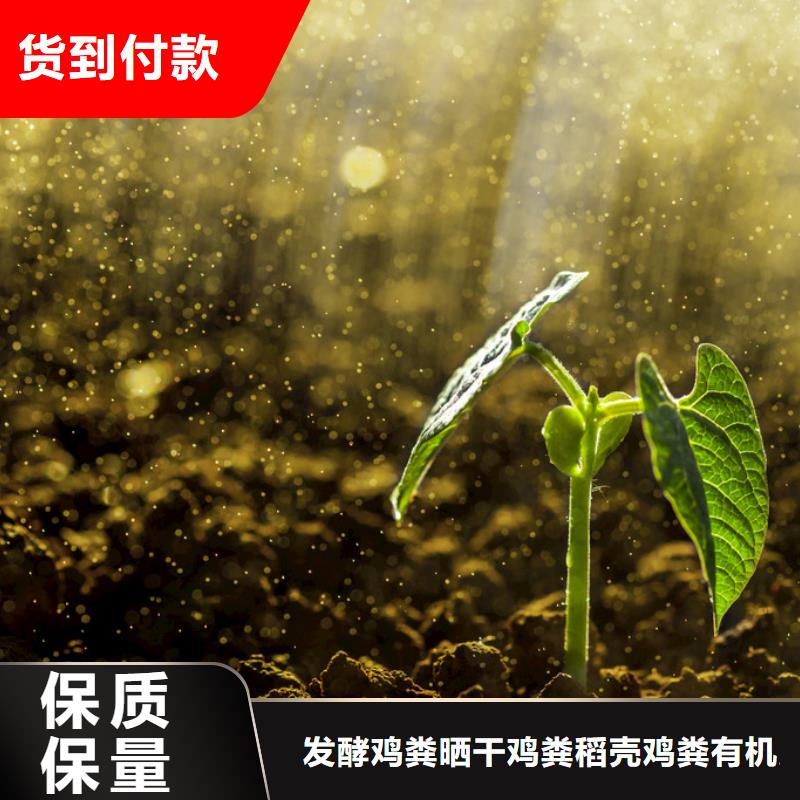 深圳市新湖街道干鸡粪供应商