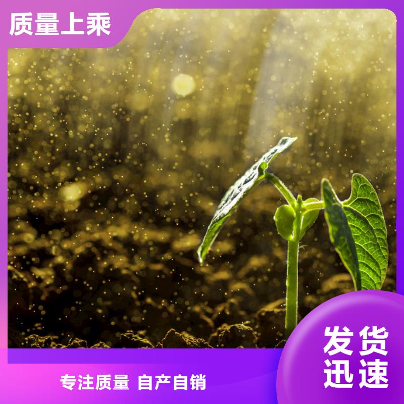 发酵鸡粪土壤肥力