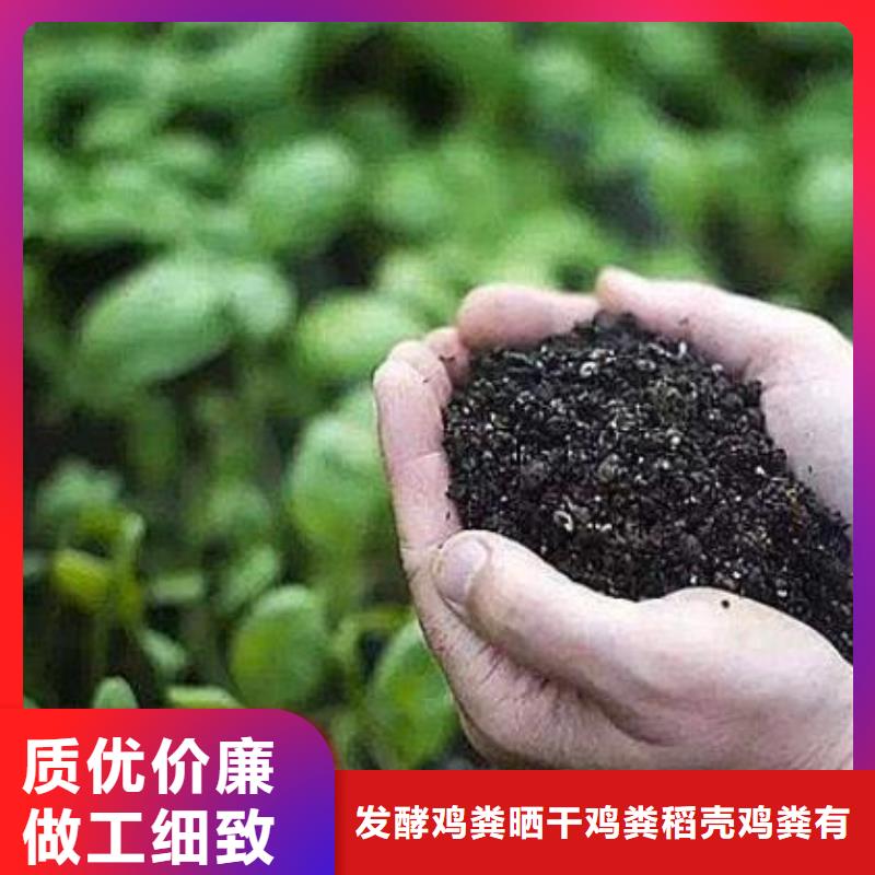 干鸡粪农民