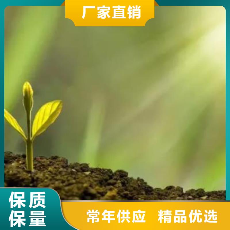 晒干鸡粪改善土壤
