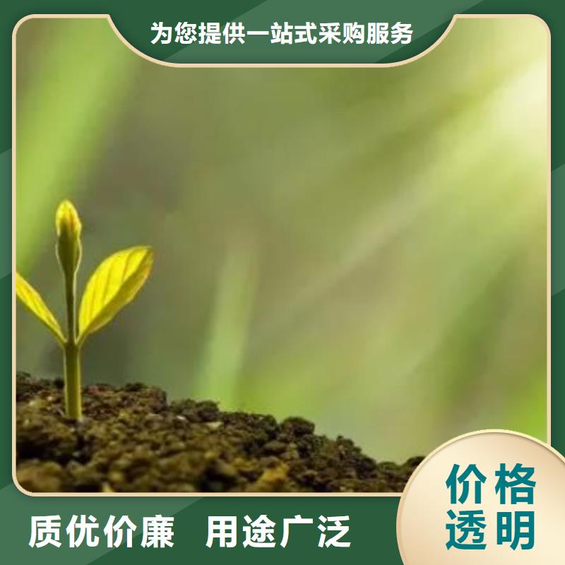 有机肥增肥果园土壤