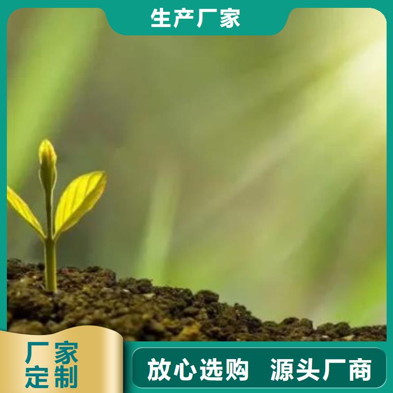发酵羊粪批发价是多少