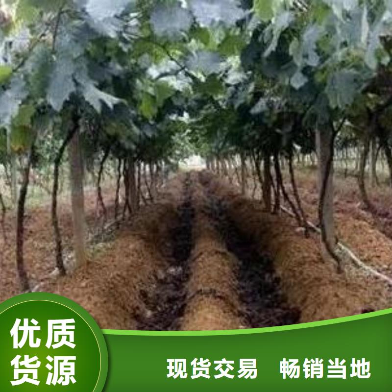 羊粪有机肥供货