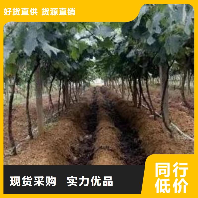 发酵鸡粪哪家好