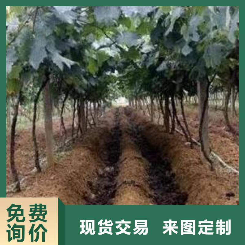 发酵鸡粪利用现有资源