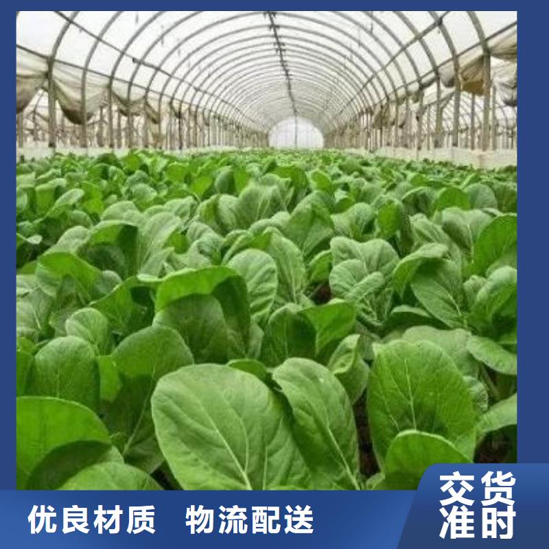 羊粪有机肥供货