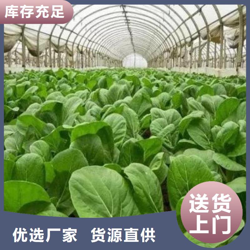 稻壳鸡粪增强土壤养分