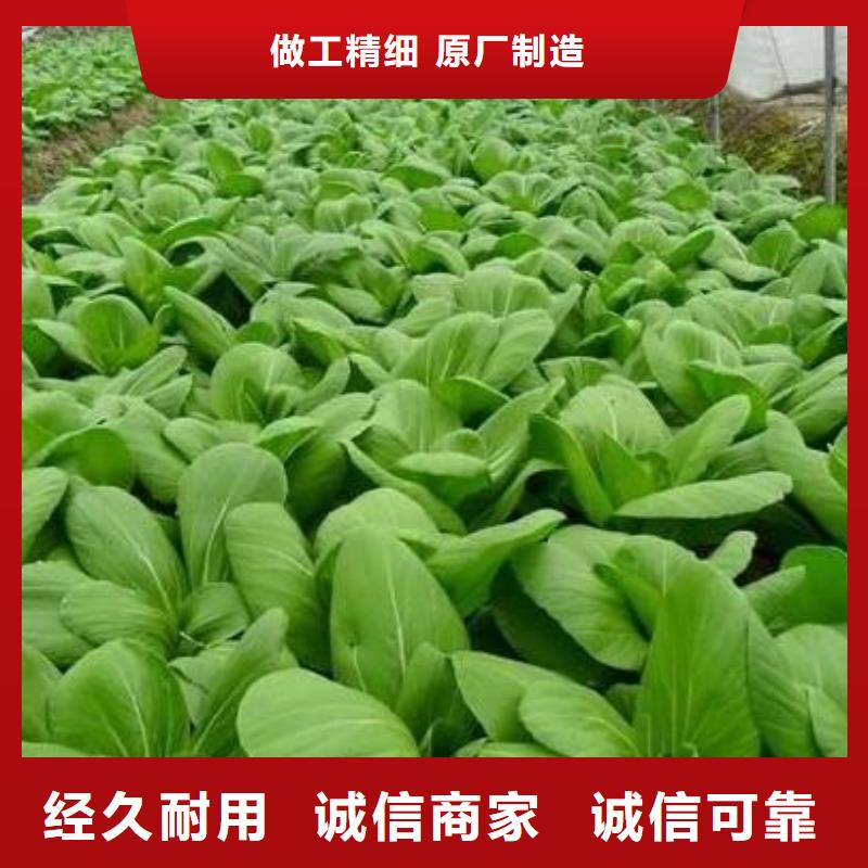 稻壳鸡粪诚信商家