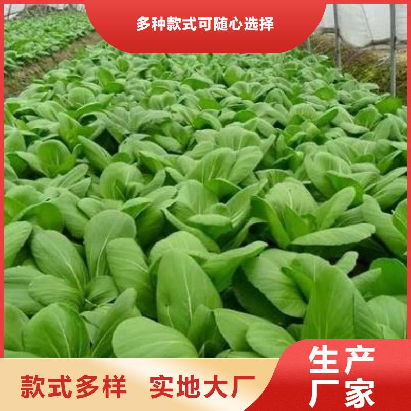 发酵羊粪批发价是多少