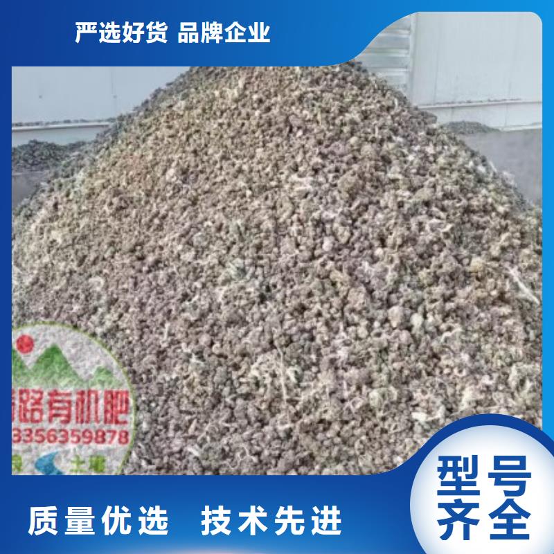晒干鸡粪质量杠杠的
