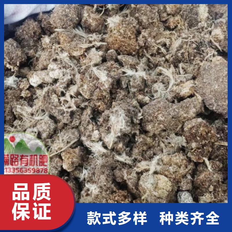 晒干鸡粪质量杠杠的