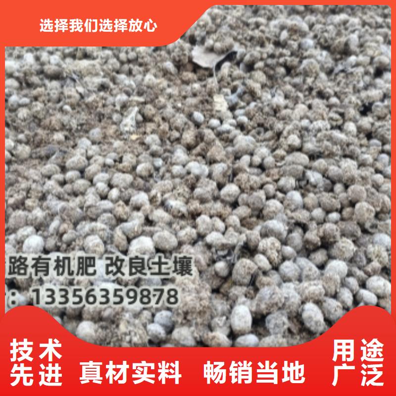 有机肥增肥果园土壤