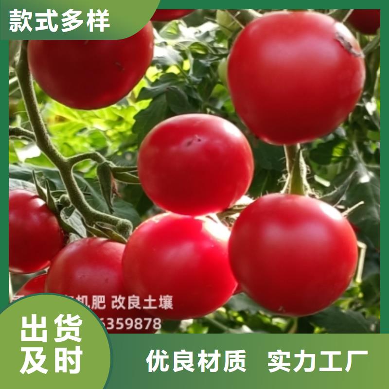 发酵羊粪生产方式