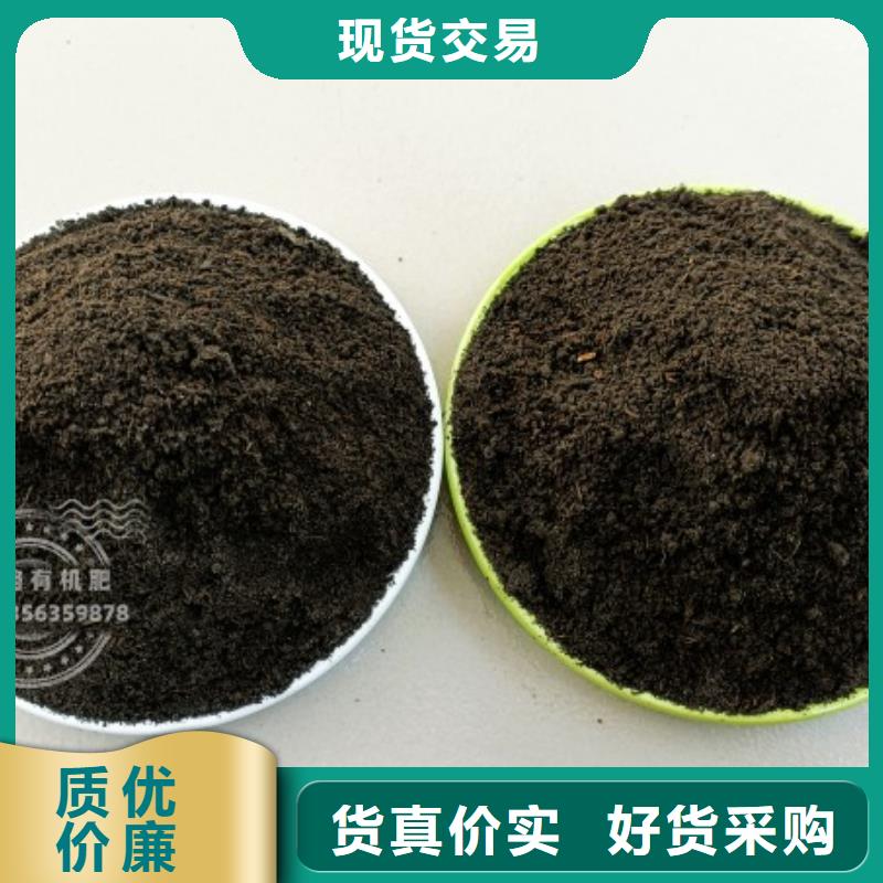 鸡粪有机肥到哪里买