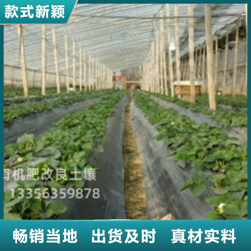有机肥诚招合作商