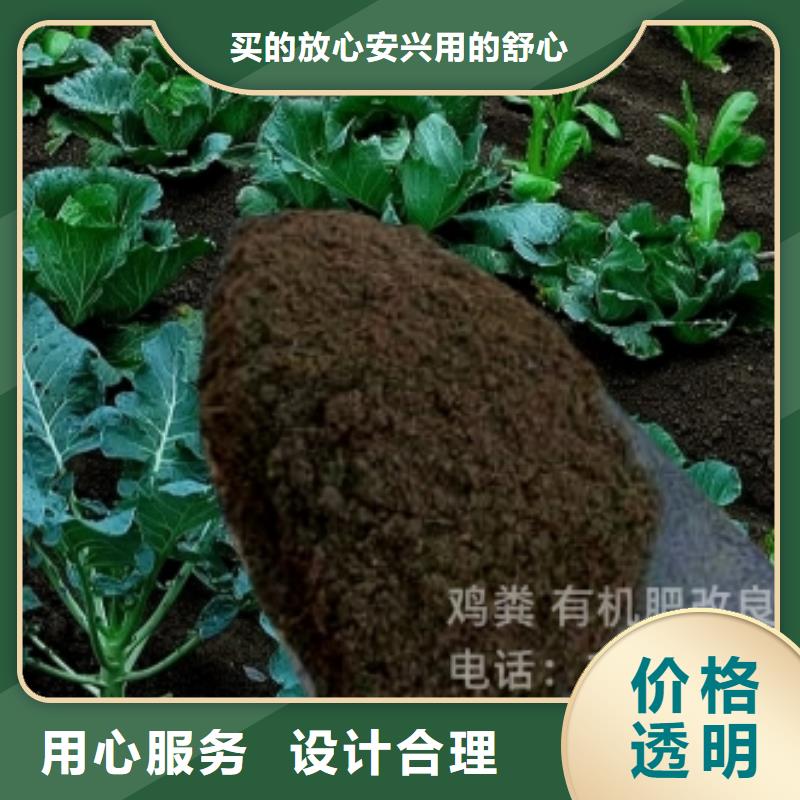 颗粒菌肥肥沃土壤