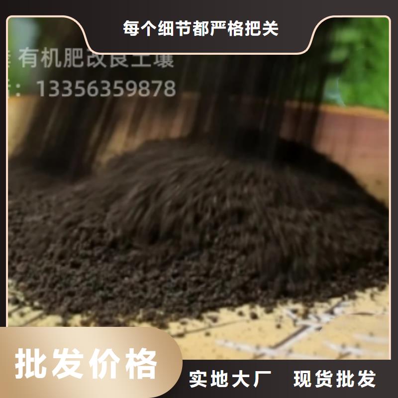 发酵羊粪后劲足