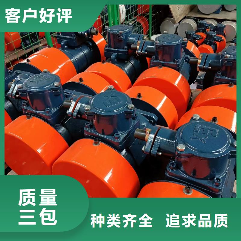 防爆振动电机平板振动器厂家免费安装