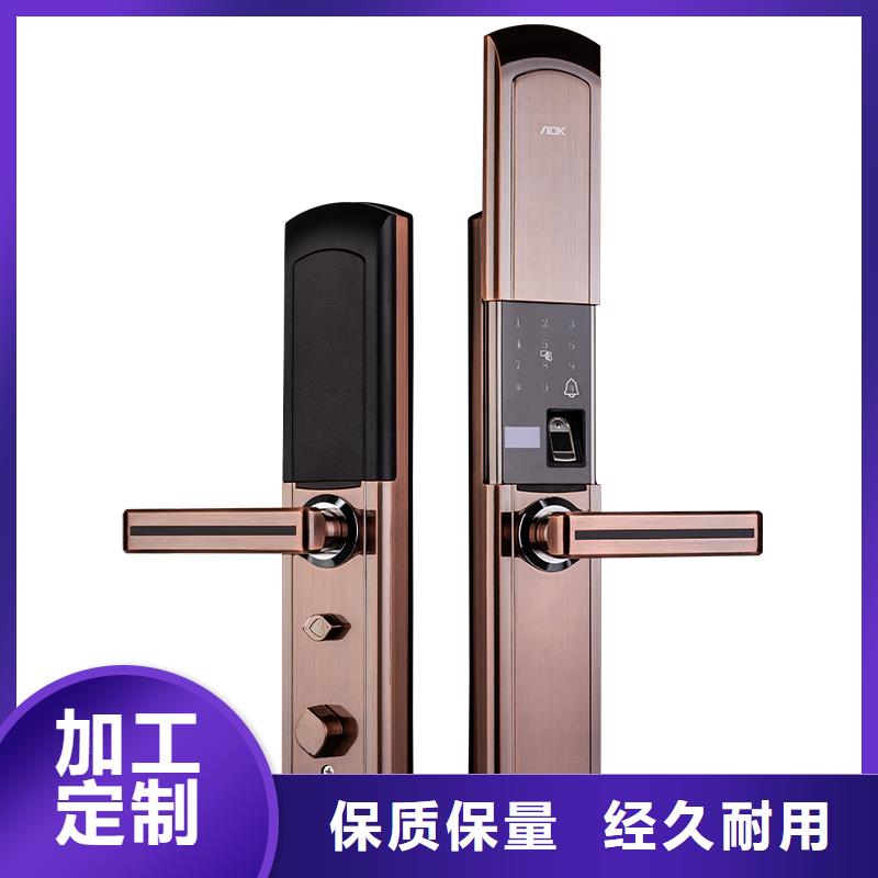 爱迪凯人脸识别智能锁工程