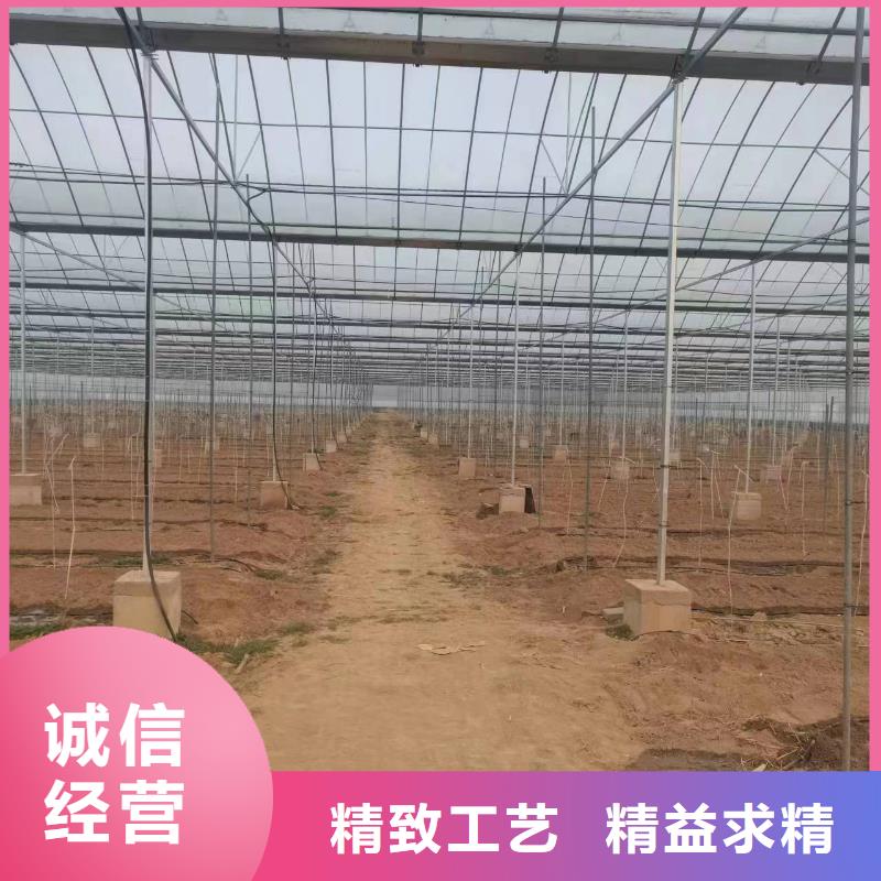 温室大棚光伏支架地桩市场行情