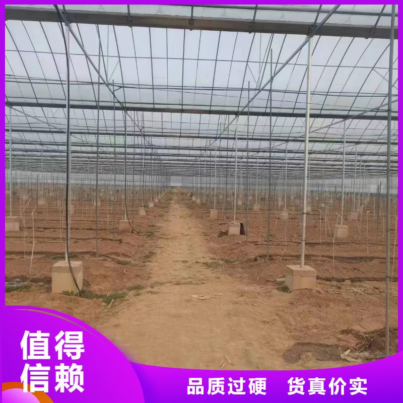 温室大棚角驰夹具经久耐用