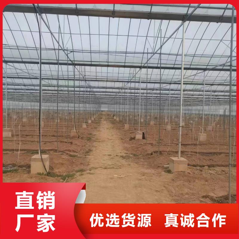 温室大棚温室大棚遮阳系统优良材质