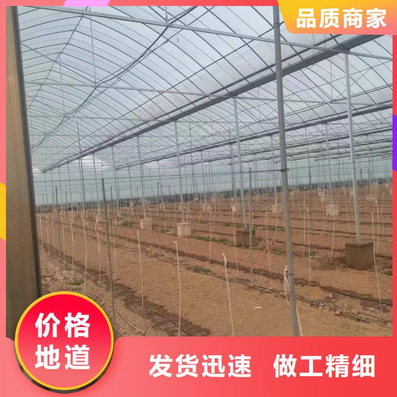 育苗大棚价格生产