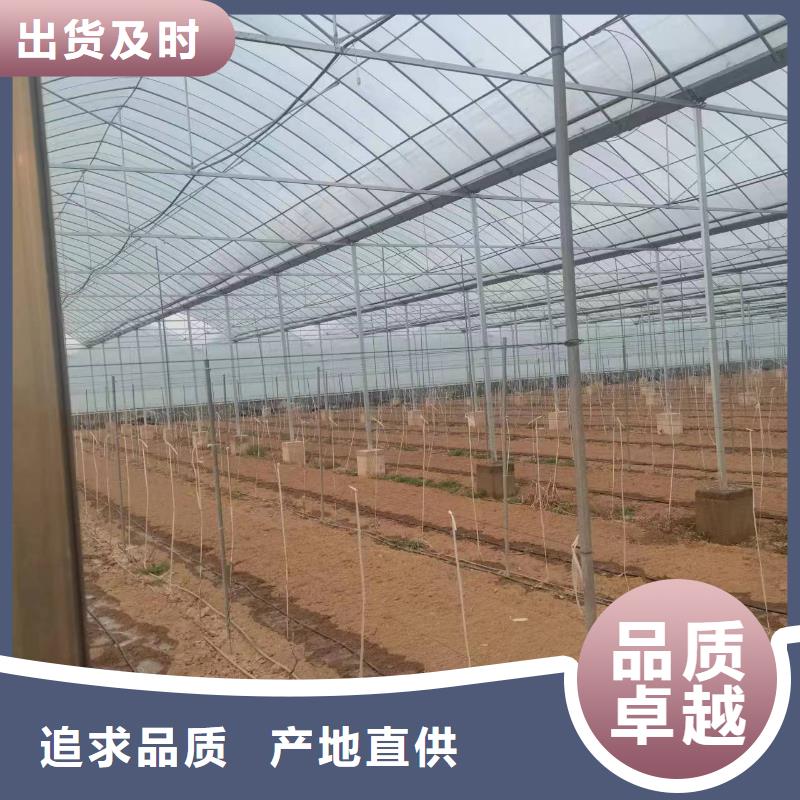 温室大棚光伏支架地桩市场行情