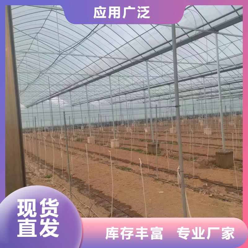 温室大棚温室大棚遮阳系统优良材质