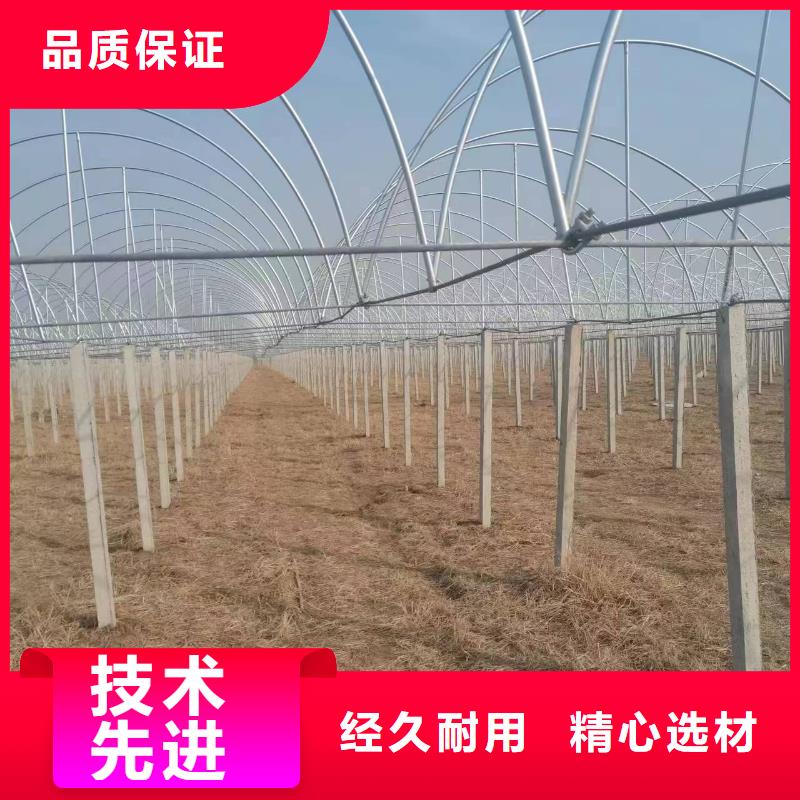 育苗大棚价格生产