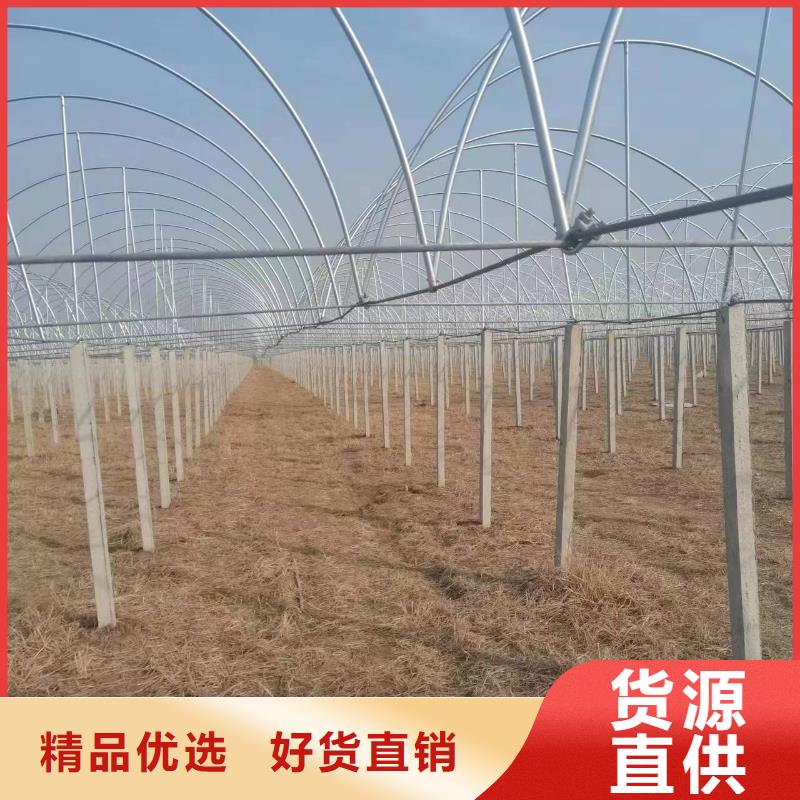 温室大棚温室大棚遮阳系统优良材质
