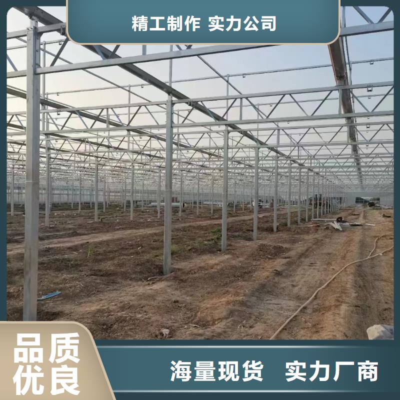育苗大棚价格生产