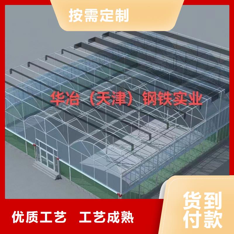 育苗大棚价格生产