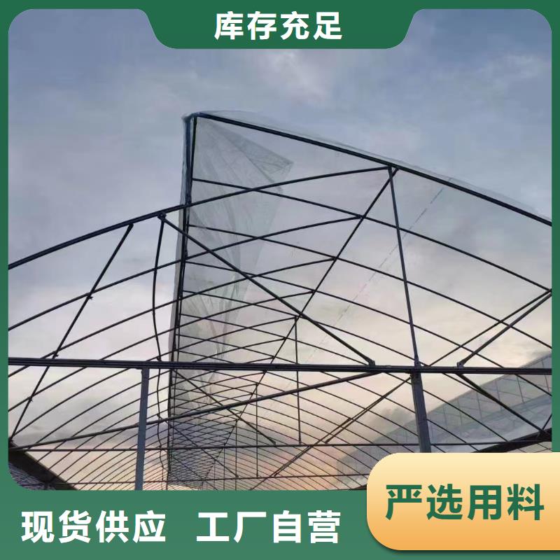 育苗大棚价格生产