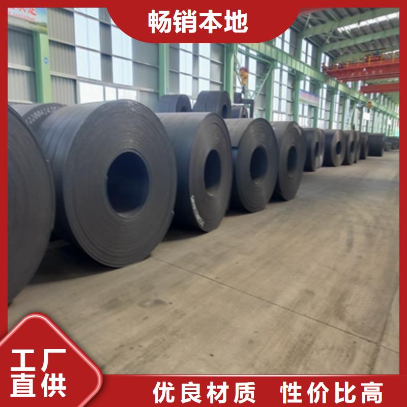 600L汽车钢板实体大厂家
