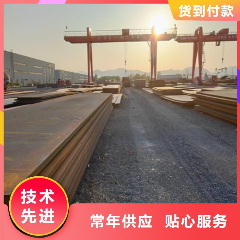 T610L汽车板批发价